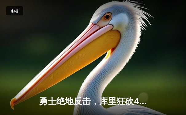 勇士绝地反击，库里狂砍45分加时险胜凯尔特人 - 4